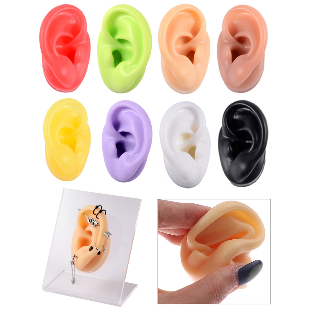 Model Kit Display Case - 1Pc Soft Silicone Ear Model Tattoo