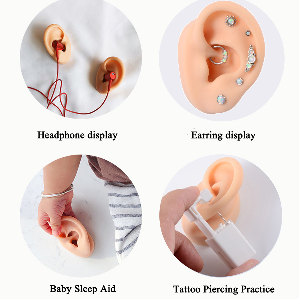 1Pc Soft Silicone Ear Model Ta - Model Kit Display Case review and price