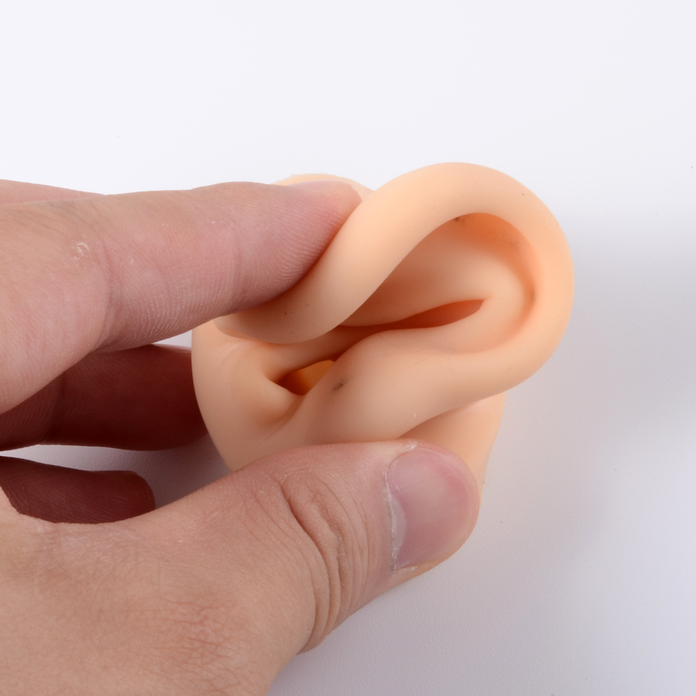 1Pc Soft Silicone Ear Model Ta - Model Kit Display Case review and price