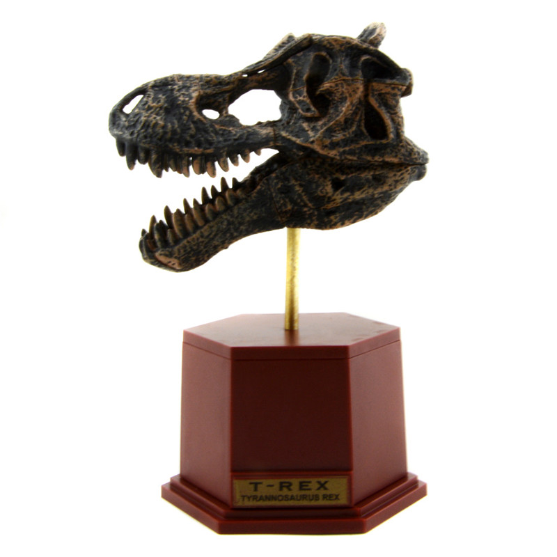 Dinosaur Skeleton Fossil ABS A - Model Kit Dinosaur review and price